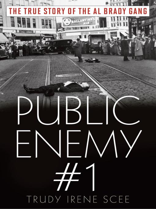 Title details for Public Enemy Number One by Trudy Irene Scee - Available